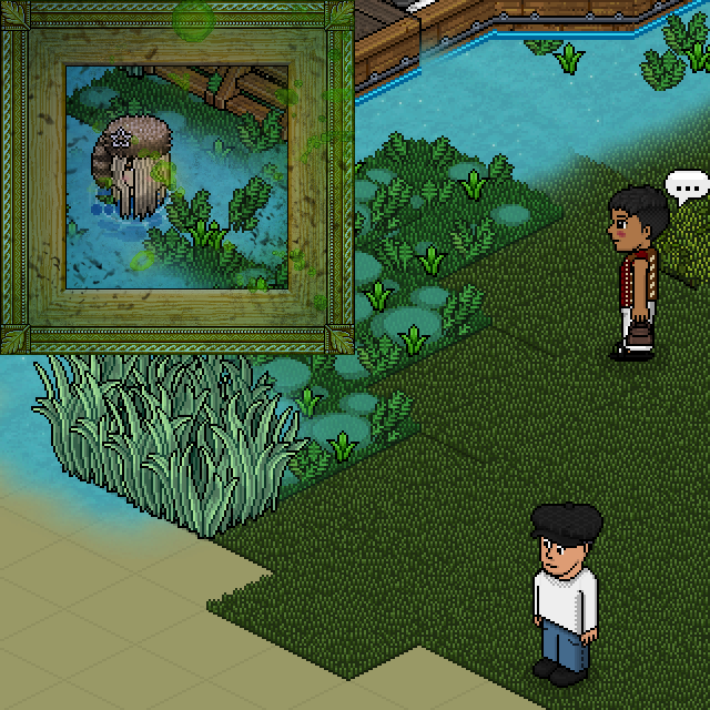 Insi